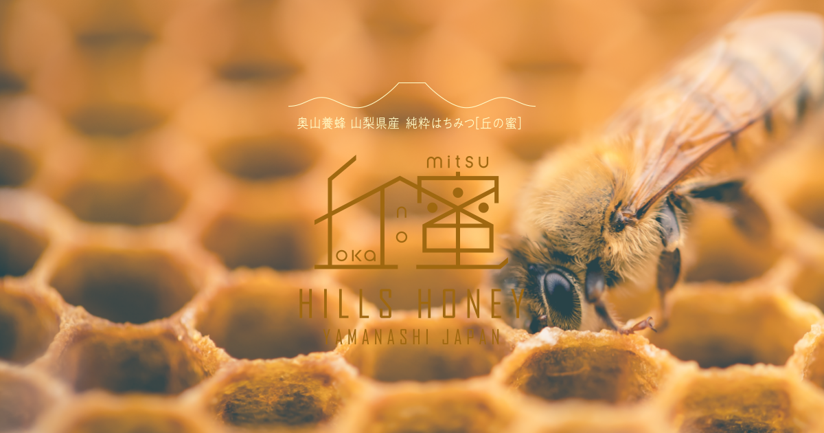 奥山養蜂 山梨県産 純粋はちみつ[丘の蜜]